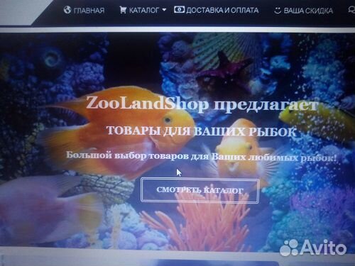 Создание сайтов, интернет магазинов