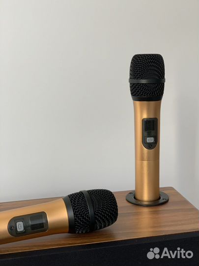 Караоке система для дома колонка для телевизора