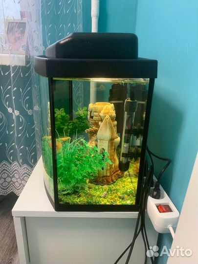 Аквариум