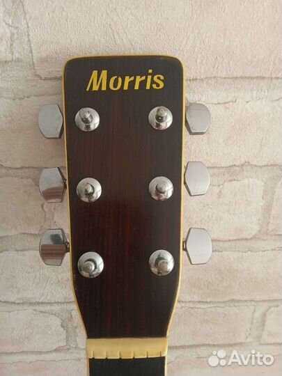 Акустическая гитара Morris W 25