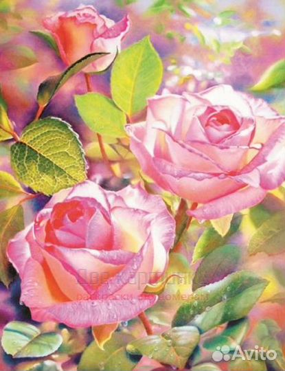 Алмазная мозаика 40x50 Нежные розы в утреннем солн