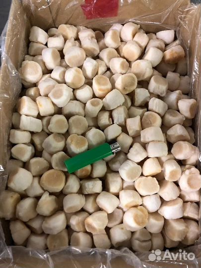 Морской Гребешок (Филе)