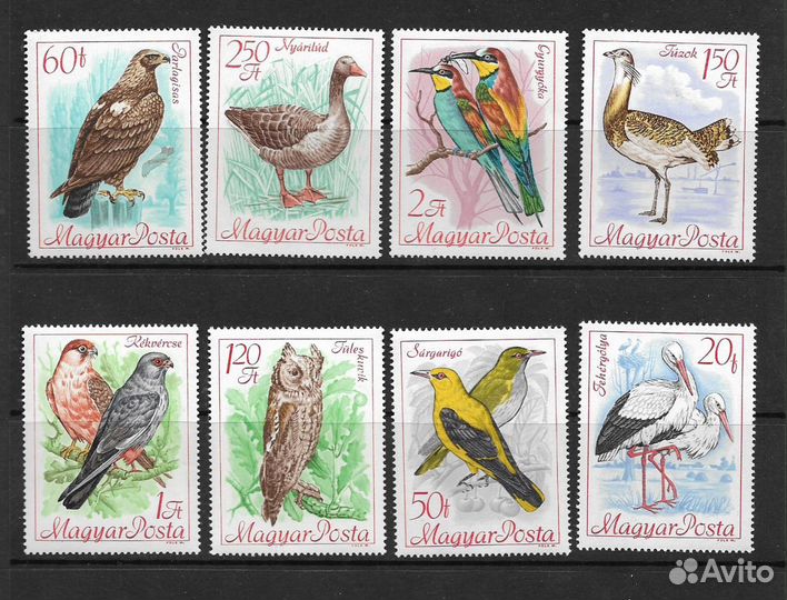 Фауна-часть 12