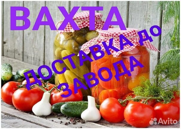 Разнорабочий на консервный завод/Вахта/Без опыта