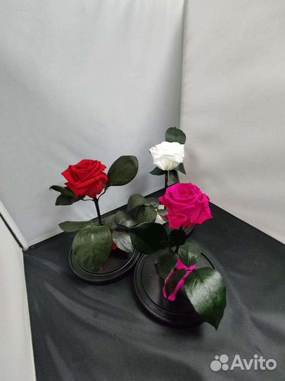 Роза в колбе оптом