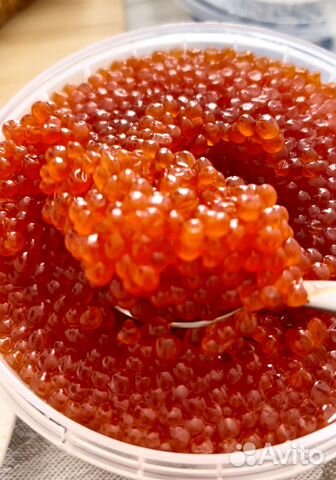 Красная икра Камчатка купить в Москве | Товары для дома и дачи | Авито