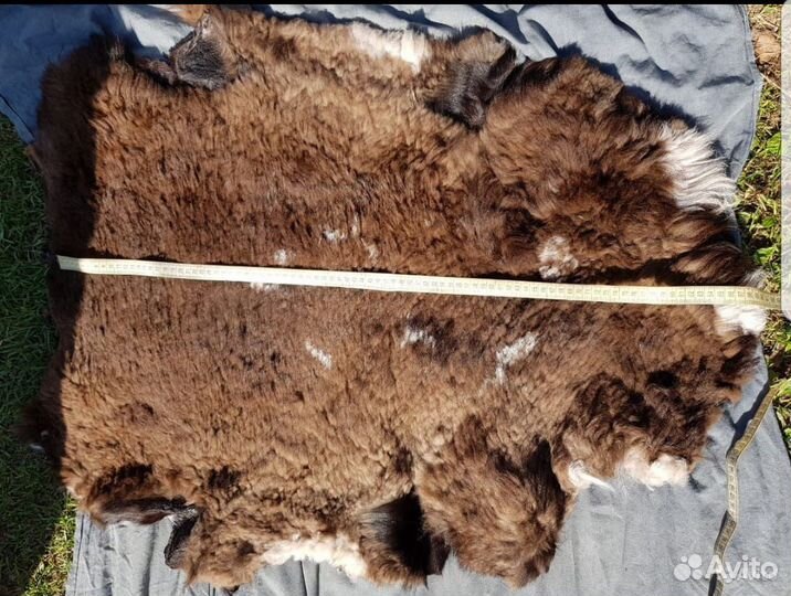 Шкуры овчины