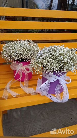 Гипсофила композиции стаканчики коробки