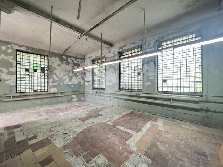 Производство, 217 м²