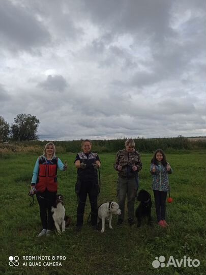 Дрессировка и передержка собак