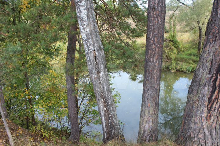 Участок 19,7 сот. (СНТ, ДНП)