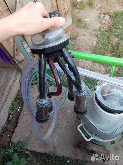 Доильный аппарат для коров