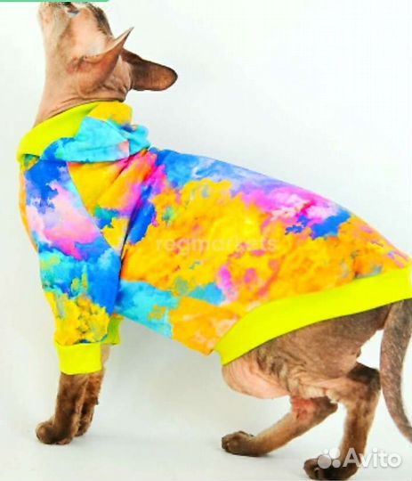 Одежда для кошек и собак