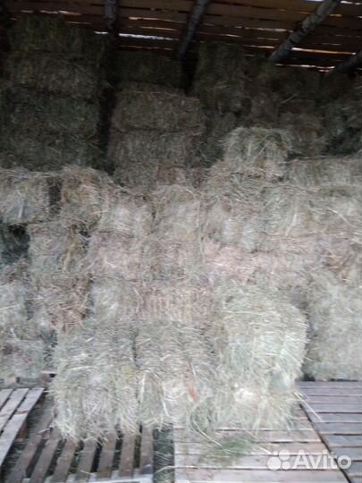 Сено в брикетах