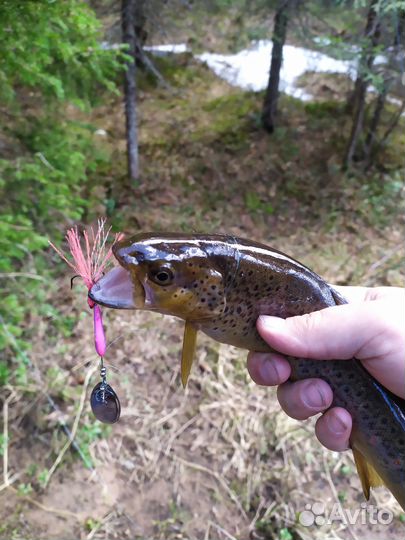 Блесна fora 29