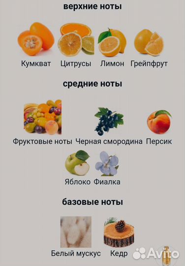 Парфюм оригинал Mancera Wild fruits распив