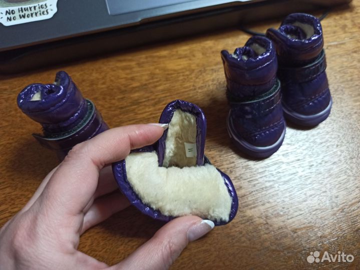 Сапожки для собак