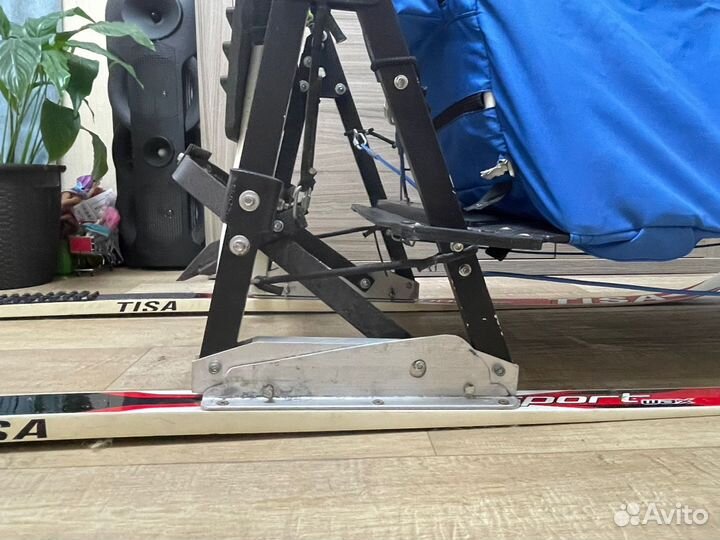 Нарты для собак Polaris