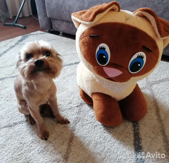 Мягкая игрушка 