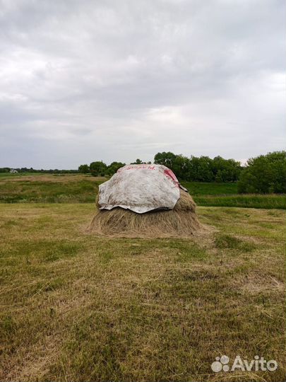 Продаю сено