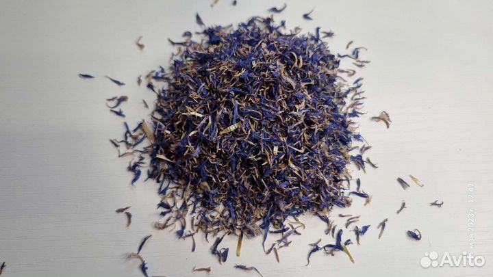 Василек синий лепестки