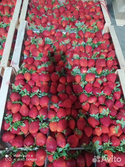 Фрукты и овощи и сухофрукты