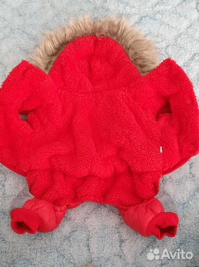 Комбинезон для собаки m