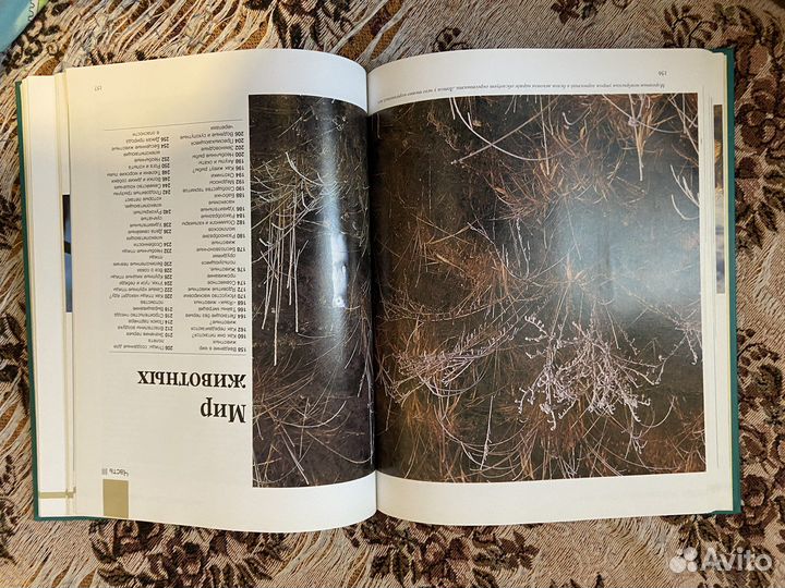 Книга азбука природы ридерз дайджест