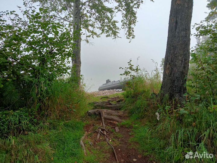 Компас 380s+ Сузуки15