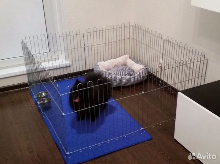 Вольер манеж для собак разных размеров