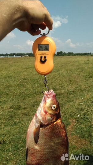 Рыбалка на леща, рыбалка на Волге