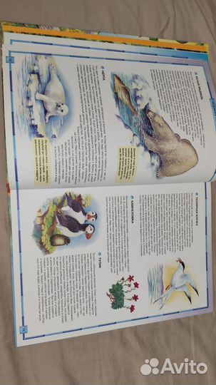 Энциклопедия природа России