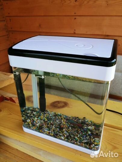 Аквариум с рыбкой петушок