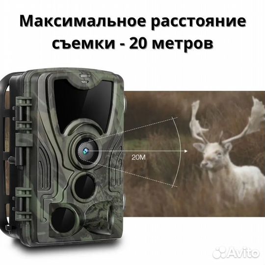 Фотоловушка для охоты Suntec HC-801A