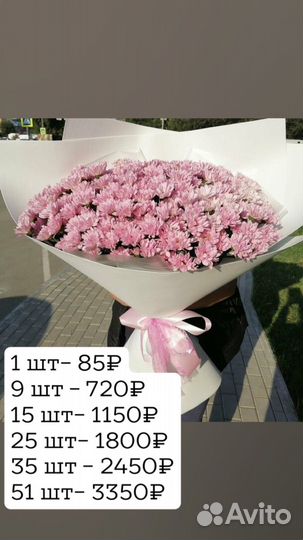 Хризантема