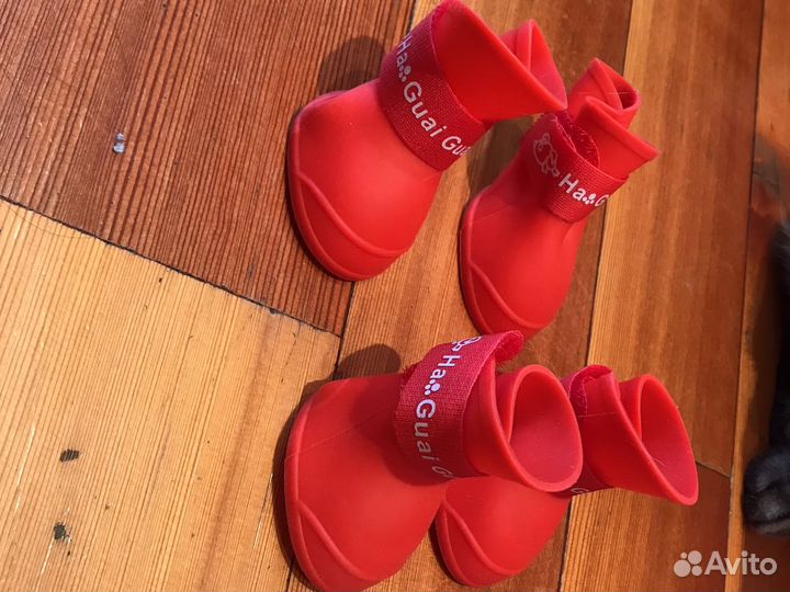 Ботинки для маленьких собак