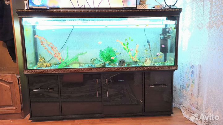 Аквариум