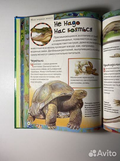 «Моя первая книга о животных» А. Никишин 2007