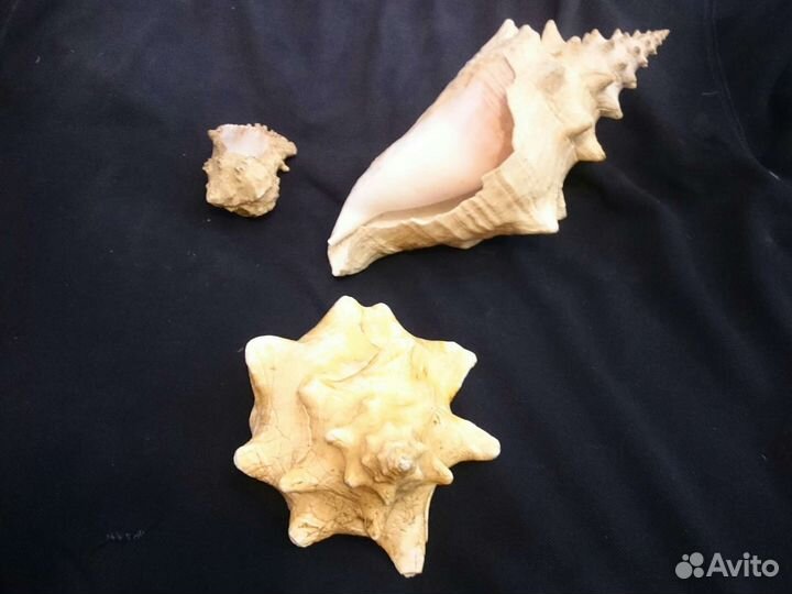 Принадлежности для аквариума