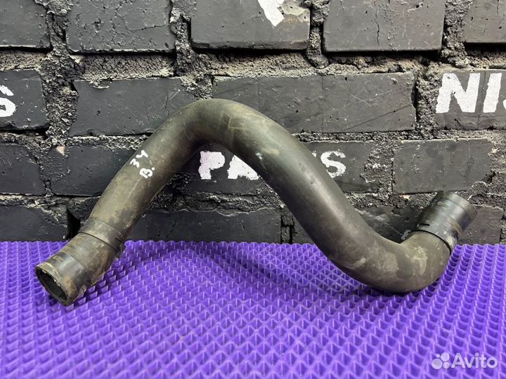 Патрубок радиатора Nissan Dualis NJ10-049131