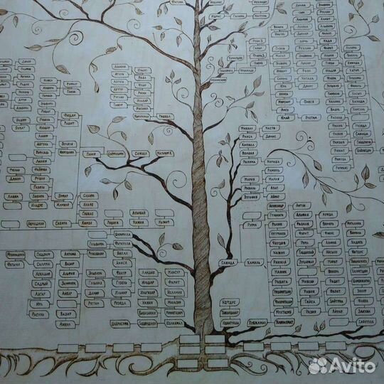 Семейное Дерево