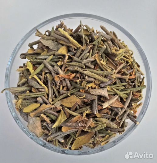 Саган дайля