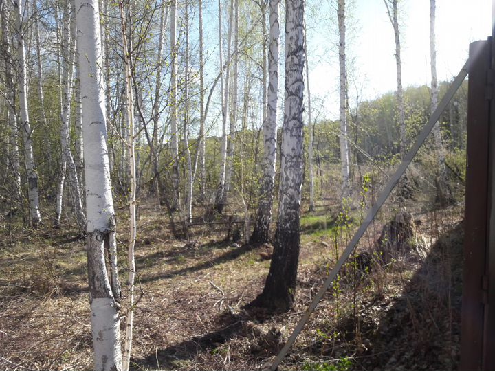 Участок 5 сот. (ИЖС)