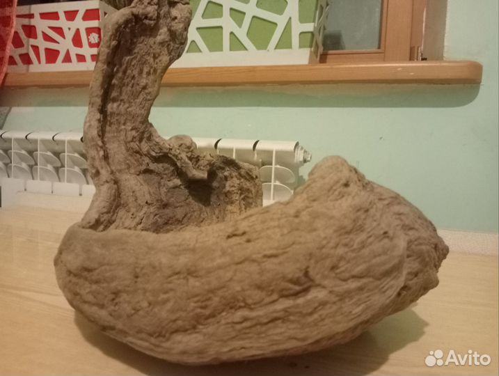 Коряга из горной реки