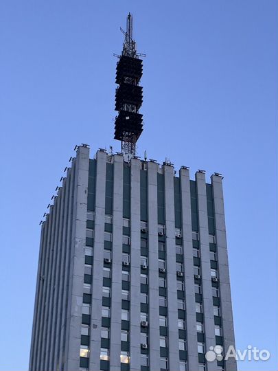 Свой человек/ личный помощник