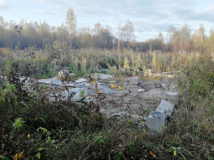 Участок 12,3 сот. (ИЖС)