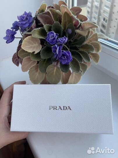 Оригинальная коробка Prada