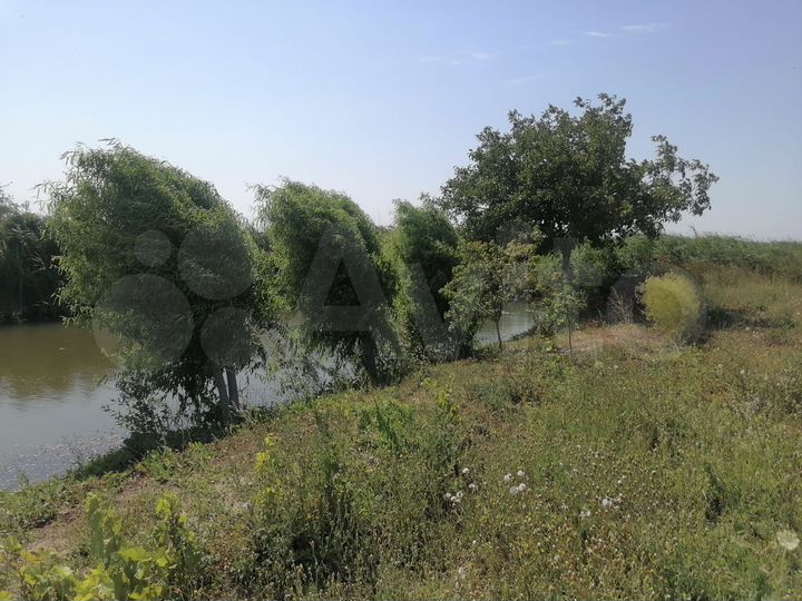 Участок 15 сот. (ИЖС)