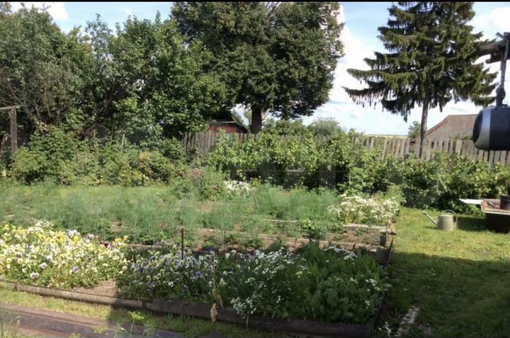 Дом 43 м² на участке 50 сот.