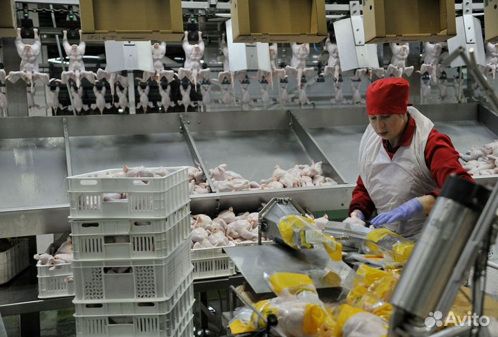 Упаковщик вахтой проживание питание